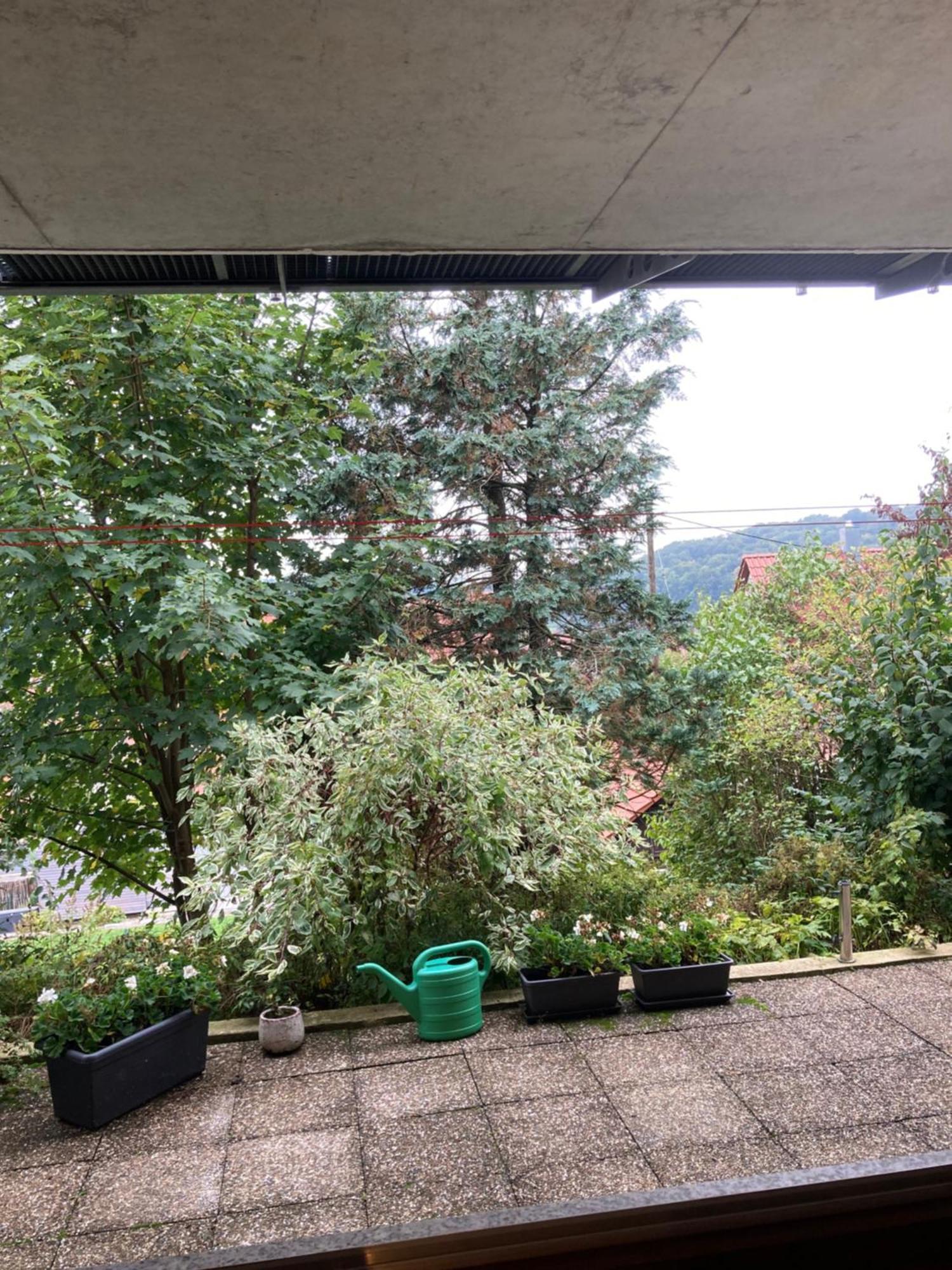 Lichtdurchflutete Ferienwohnung Sankt Johann  Zewnętrze zdjęcie